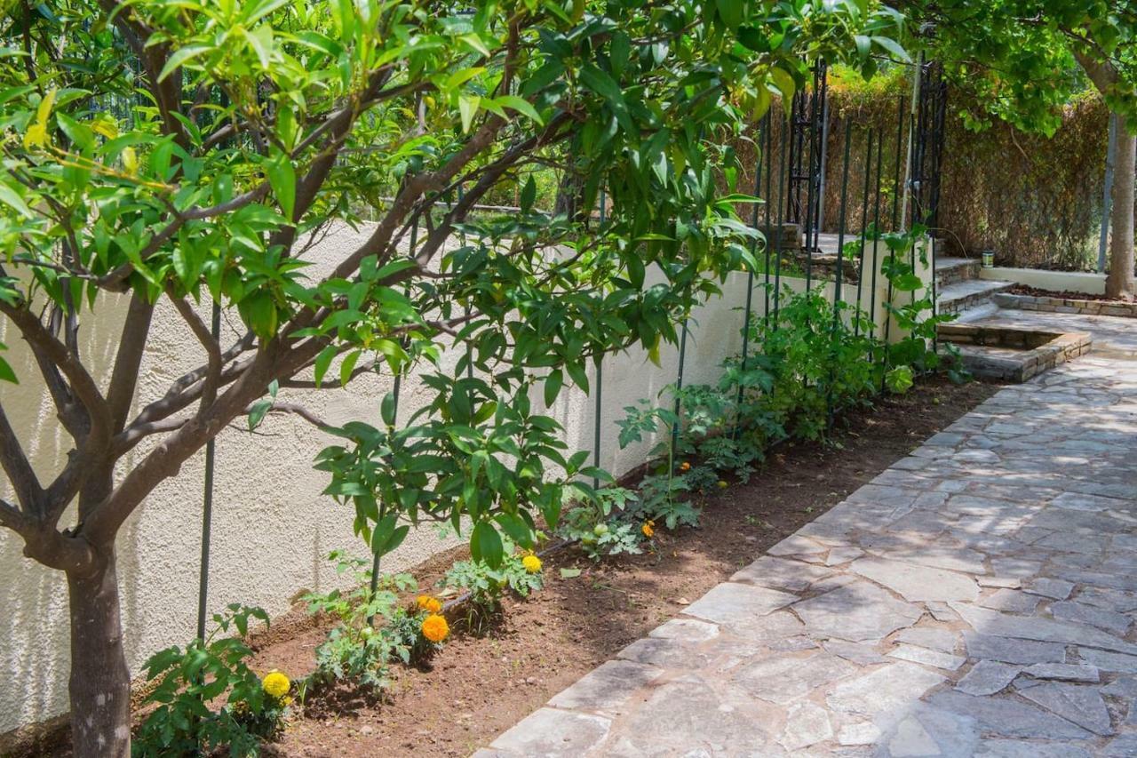 ניאה סקיוני Villa Anna מראה חיצוני תמונה